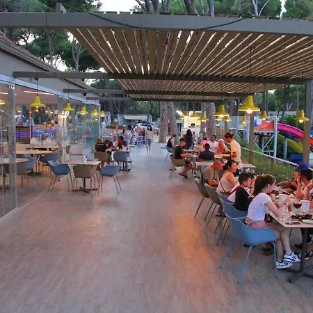 4 Etoiles - Parc Aquatique - Ccafefi Kemp Pals