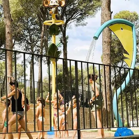 4 Etoiles - Parc Aquatique - Ccafefi